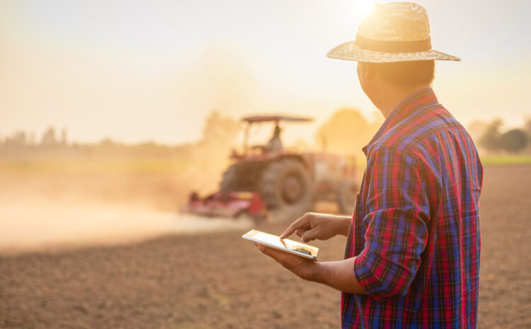  Como o certificado digital pode ajudar o produtor rural